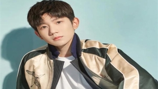 旺姻缘：4种招桃花的鲜花  让你桃花运不断