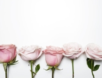 斩烂桃花：女子烂桃花多怎么办？教你3个诀窍,远离渣男