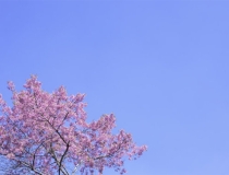 婴灵超度：什么是超度婴灵？选择专业人士顺利完成