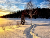 婴灵超度：人流后怎么渡亡婴灵,不渡亡后果严重