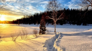 婴灵超度：人流后怎么渡亡婴灵,不渡亡后果严重