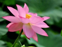 还受生债：道家还阴债用烧纸 ,还阴债几次比较好