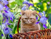 民俗文化：职场遇到小人怎么对付 一招帮你搞定