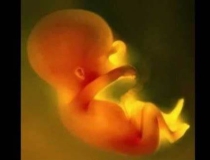 婴灵超度：流产的孩子和父母的缘不够深