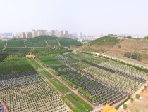 超度法事：人死后的再生表现：四种死亡方式