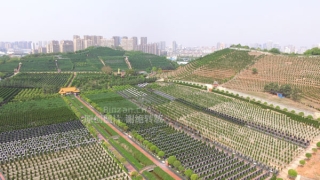 超度法事：人死后的再生表现：四种死亡方式