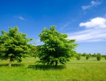 道教法事：救人的法术不是迷信,真的是有效果