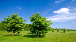 道教法事：救人的法术不是迷信,真的是有效果