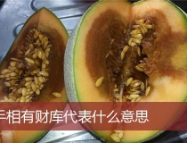 财库财运：手相有财库代表什么意思