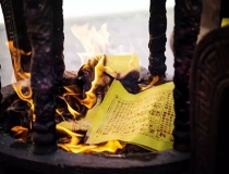 道教法事：谢霆锋种生基改运躲避牢狱之灾_爆红十几年