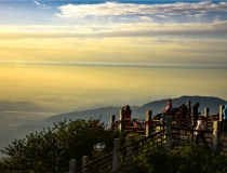 斩烂桃花：「」利用植物「仙人掌或铁树」斩桃花的方法 