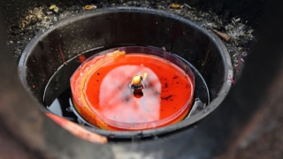 超度法事：烧纸的禁忌，详细分享烧纸钱的由来