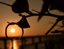 姻缘和合：男人想挽回你时都会有的三种表现