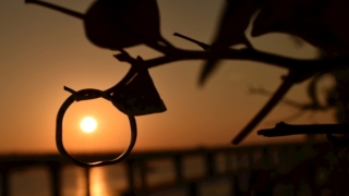 姻缘和合：男人想挽回你时都会有的三种表现