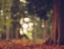 婴灵超度：自然流产需要渡亡,自然流产也会有婴灵跟着,一定要渡亡