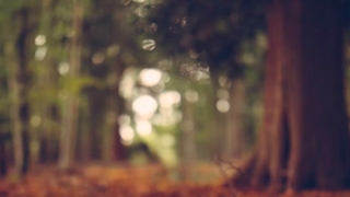 婴灵超度：自然流产需要渡亡,自然流产也会有婴灵跟着,一定要渡亡