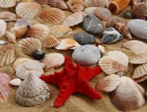 财库财运：消灾解厄方法什么情况需开财库补财库