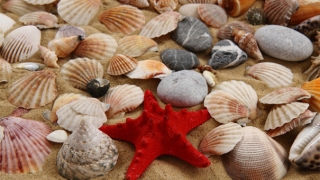 财库财运：消灾解厄方法什么情况需开财库补财库