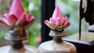 超度法事：超度的作用 超度的好处利益 不仅是去世之人得益活着的人也有好处