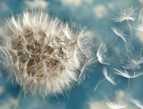 超度法事：大师心水推荐 超度亡灵的经文