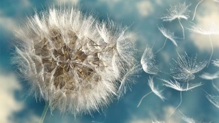 超度法事：大师心水推荐 超度亡灵的经文