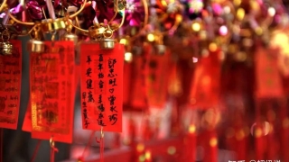 旺姻缘：招桃花运，招来的一定是正缘吗？