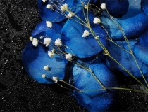 道教法事：婴儿看到脏东西的表现，家长们赶紧注意了