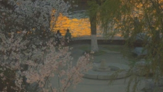 婴灵超度：婴灵渡亡大概多少钱,堕胎后不给孩子渡亡会有很大的不利影响