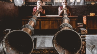 财库财运：属蛇的近断时间财运怎么那么差,属蛇2022年下半年运势詳解