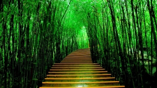 还受生债：怎么知道还阴债成功 ／寺庙还阴债后让念金刚经的好处