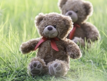 婴灵超度：婴儿是投胎讨债的，没有超度更合适阴债深重