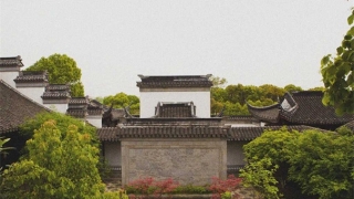 婴灵超度：婴灵超度成功的表现，自己获得一个更好的生活