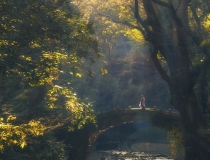 超度法事：超度小鸟帮助其往生善道，获得现世幸福