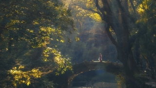 超度法事：超度小鸟帮助其往生善道，获得现世幸福
