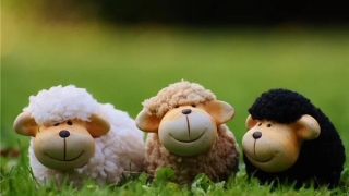 化太岁：冲太岁是什么意思属羊 2021属羊冲太岁如何化解