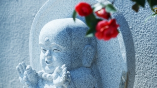 婴灵超度：3个月内人流不算杀生，专业的佛教知识给你解答