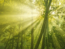 超度法事：堕胎后如何超度婴灵怎么超度亡灵