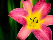 婴灵超度：超度送婴灵表文，帮你尽快送走婴灵