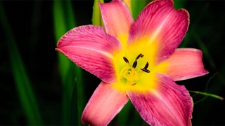 婴灵超度：超度送婴灵表文，帮你尽快送走婴灵