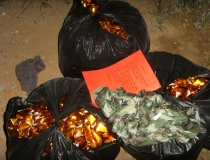 财库财运：查还寿生债的方法 还阴债 补财库 增财运法事 （转载）