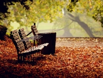 超度法事：慈诚罗珠堪布：人死后，是如何投胎的？