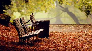 超度法事：慈诚罗珠堪布：人死后，是如何投胎的？