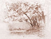 旺姻缘：招桃花饰品有哪些