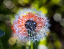 超度法事：还完阴债第二天一直睡这是还阴债超度的表现