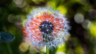 超度法事：还完阴债第二天一直睡这是还阴债超度的表现