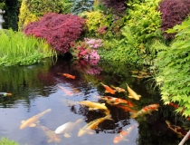 财库财运：财运一直差的原因，有这些行为的赶紧改过来