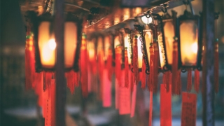 旺姻缘：道教请的桃花符据说很很快帮你脱单