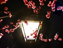 财库财运：财运亨通的五大特征,那些财运好的人都长什么样