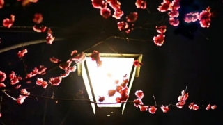 财库财运：财运亨通的五大特征,那些财运好的人都长什么样