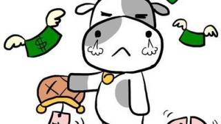 财库财运：八字无财库能否发财